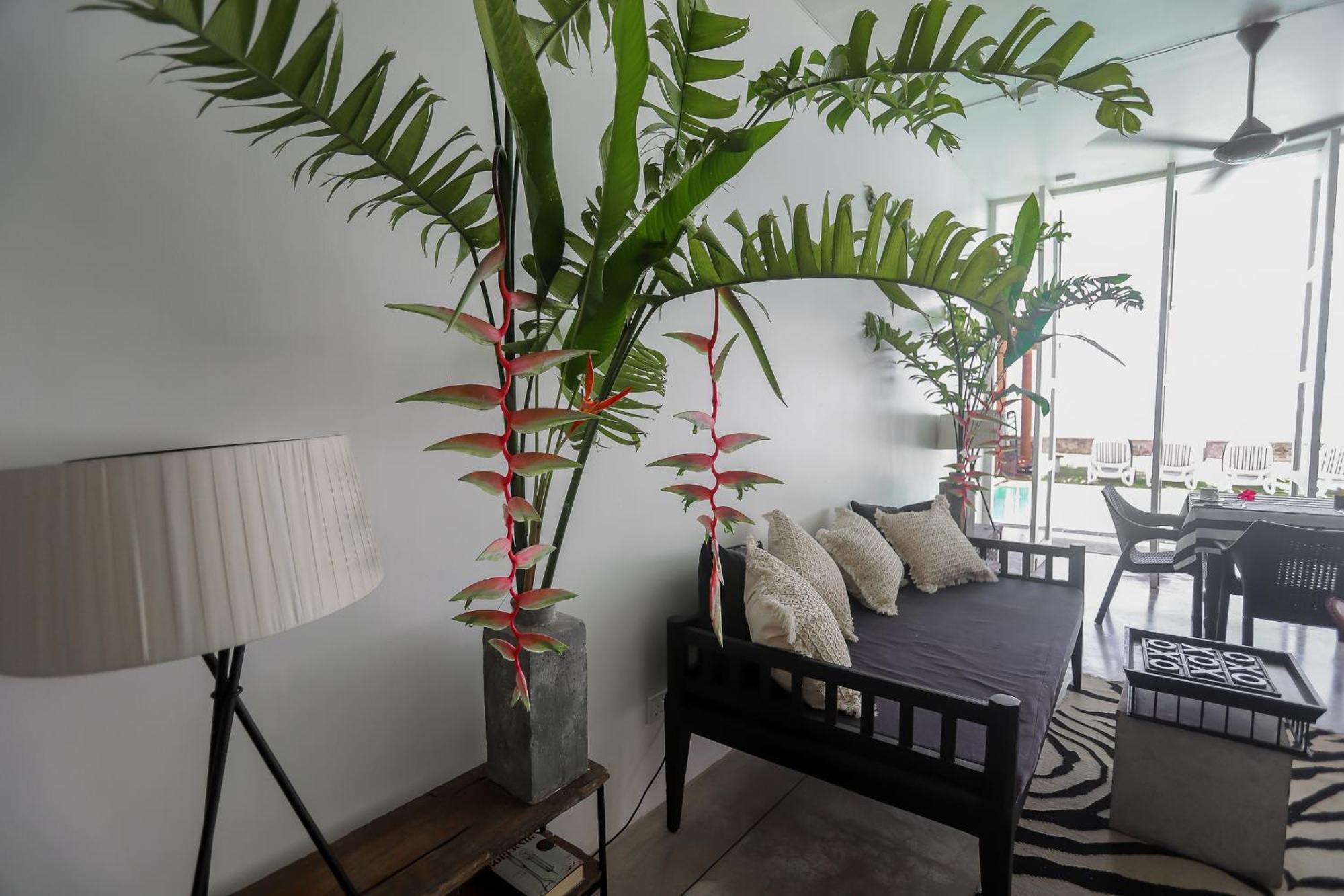 Bieshu Beach Hive Habaraduwa Central Екстериор снимка